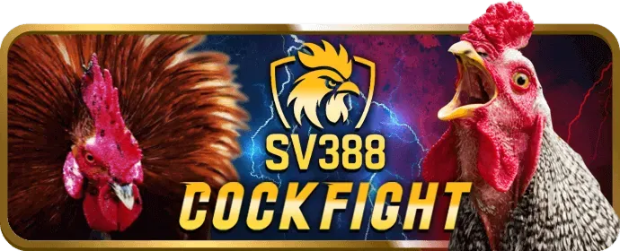 Người chơi vui vẻ với máy slot game, màn hình hiển thị biểu tượng 12bet code